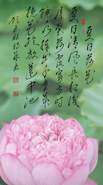 顾玉旺作品《夏日荷花》 夏日清风长相识，月赏荷露寄方时。 镜水捧出千重叶， 挽花绽放莲中池。.jpg